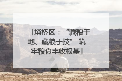 埇桥区：“藏粮于地、藏粮于技” 筑牢粮食丰收根基
