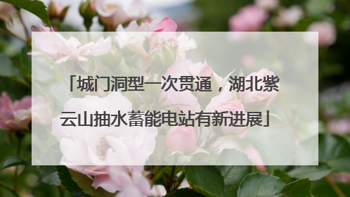 城门洞型一次贯通，湖北紫云山抽水蓄能电站有新进展