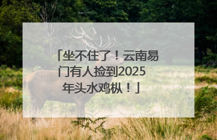 坐不住了！云南易门有人捡到2025年头水鸡枞！