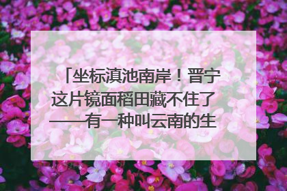 坐标滇池南岸！晋宁这片镜面稻田藏不住了——有一种叫云南的生活之365天