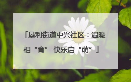 垦利街道中兴社区：温暖相“育” 快乐启“萌”