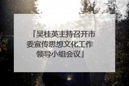吴桂英主持召开市委宣传思想文化工作领导小组会议