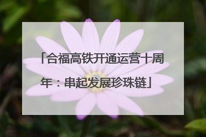 合福高铁开通运营十周年：串起发展珍珠链