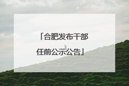 合肥发布干部任前公示公告