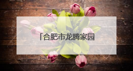 合肥市龙腾家园幼儿园：科学衔接 赋能成长