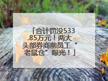 合计罚没533.85万元！两大头部券商前员工“老鼠仓”曝光！