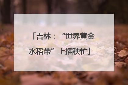 吉林：“世界黄金水稻带”上插秧忙