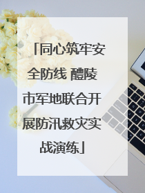 同心筑牢安全防线 醴陵市军地联合开展防汛救灾实战演练