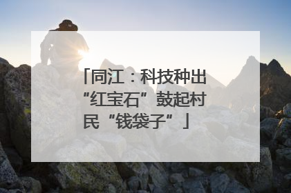 同江：科技种出“红宝石”鼓起村民“钱袋子”