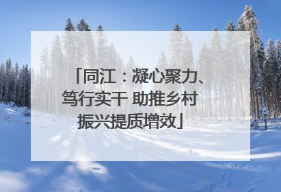 同江：凝心聚力、笃行实干 助推乡村振兴提质增效