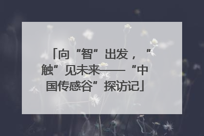 向“智”出发，“触”见未来——“中国传感谷”探访记
