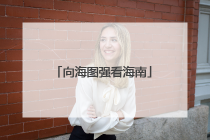 向海图强看海南
