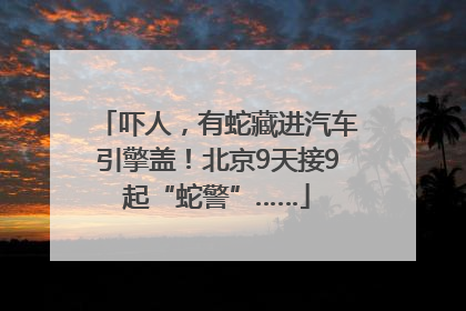 吓人，有蛇藏进汽车引擎盖！北京9天接9起“蛇警”……