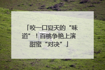 咬一口夏天的“味道”！百桃争艳上演甜蜜“对决”