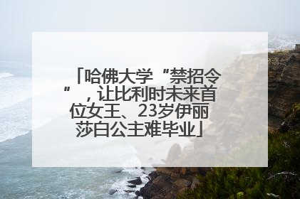 哈佛大学“禁招令”，让比利时未来首位女王、23岁伊丽莎白公主难毕业
