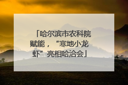 哈尔滨市农科院赋能，“寒地小龙虾”亮相哈洽会