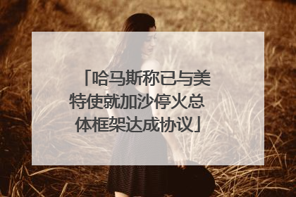 哈马斯称已与美特使就加沙停火总体框架达成协议