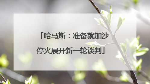 哈马斯：准备就加沙停火展开新一轮谈判