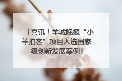 喜讯！羊城晚报“小羊拍客”项目入选国家级创新发展案例