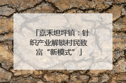 嘉禾坦坪镇：针织产业解锁村民致富“新模式”