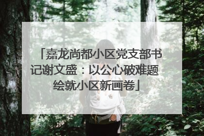 嘉龙尚都小区党支部书记谢文盛：以公心破难题 绘就小区新画卷