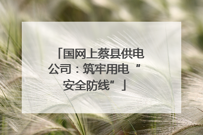 国网上蔡县供电公司：筑牢用电“安全防线”