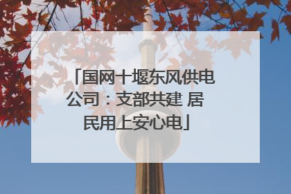 国网十堰东风供电公司：支部共建 居民用上安心电