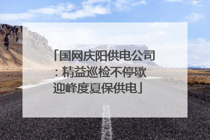 国网庆阳供电公司：精益巡检不停歇 迎峰度夏保供电