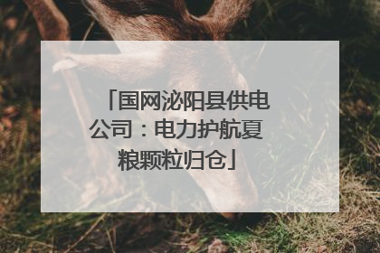 国网泌阳县供电公司：电力护航夏粮颗粒归仓
