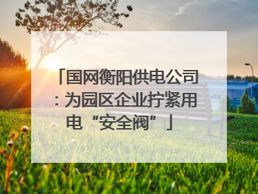 国网衡阳供电公司：为园区企业拧紧用电“安全阀”