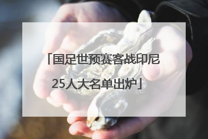 国足世预赛客战印尼25人大名单出炉