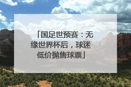 国足世预赛：无缘世界杯后，球迷低价抛售球票