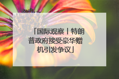 国际观察丨特朗普政府接受豪华赠机引发争议