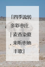 四季流转 多彩枣庄｜麦香染夏，来听枣地丰歌