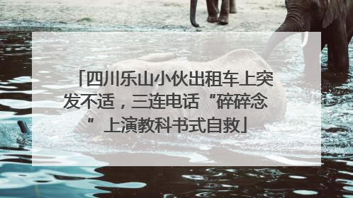 四川乐山小伙出租车上突发不适，三连电话“碎碎念”上演教科书式自救