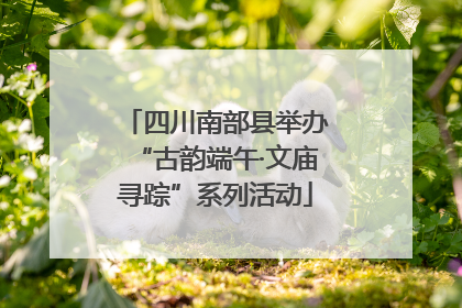 四川南部县举办“古韵端午·文庙寻踪”系列活动
