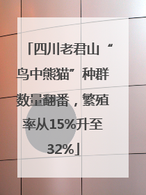 四川老君山“鸟中熊猫”种群数量翻番，繁殖率从15%升至32%