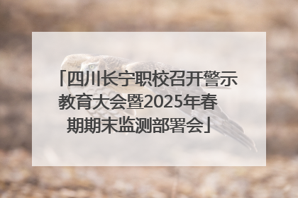 四川长宁职校召开警示教育大会暨2025年春期期末监测部署会