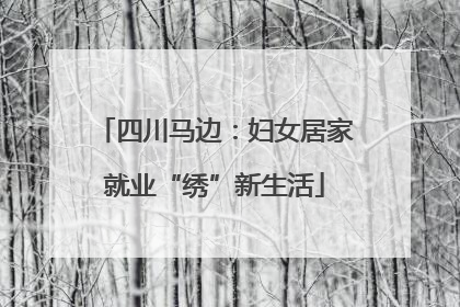 四川马边：妇女居家就业“绣”新生活