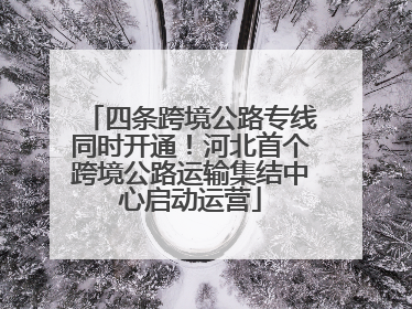 四条跨境公路专线同时开通！河北首个跨境公路运输集结中心启动运营