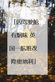 因驾驶舱有烟味 英国一航班改降奥地利