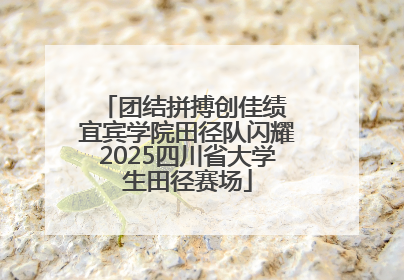 团结拼搏创佳绩 宜宾学院田径队闪耀2025四川省大学生田径赛场