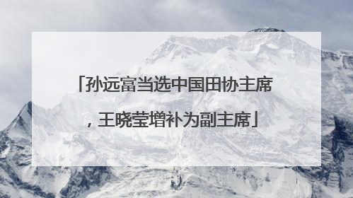 孙远富当选中国田协主席，王晓莹增补为副主席