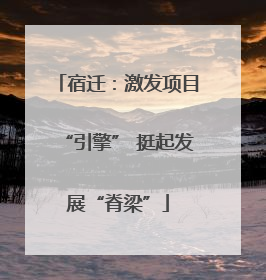 宿迁：激发项目“引擎” 挺起发展“脊梁”