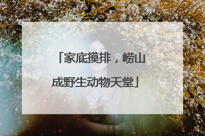 家底摸排，崂山成野生动物天堂