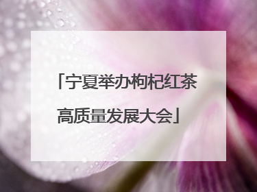 宁夏举办枸杞红茶高质量发展大会