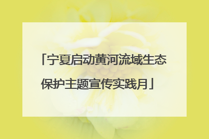 宁夏启动黄河流域生态保护主题宣传实践月