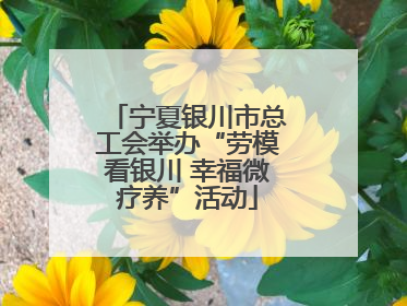 宁夏银川市总工会举办“劳模看银川 幸福微疗养”活动
