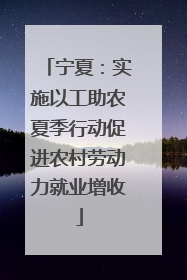 宁夏：实施以工助农夏季行动促进农村劳动力就业增收
