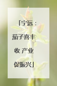 宁远：茄子喜丰收 产业促振兴